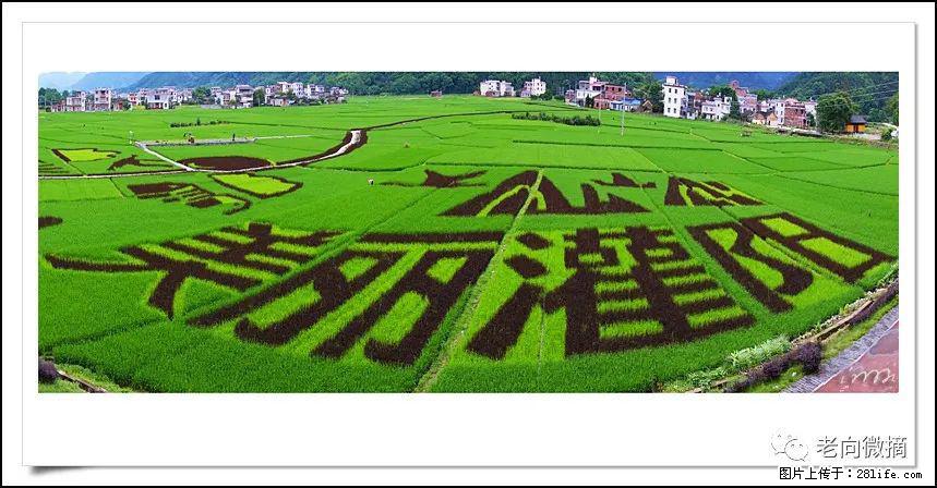 【春天，广西桂林灌阳县向您发出邀请！】开篇 - 游山玩水 - 海南生活社区 - 海南28生活网 hainan.28life.com