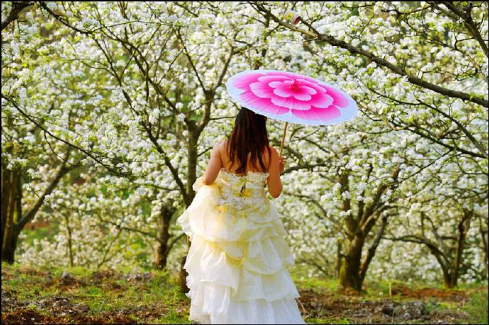 【春天,广西桂林灌阳县向您发出邀请!】我们在灌阳看梨花 - 游山玩水 - 海南生活社区 - 海南28生活网 hainan.28life.com