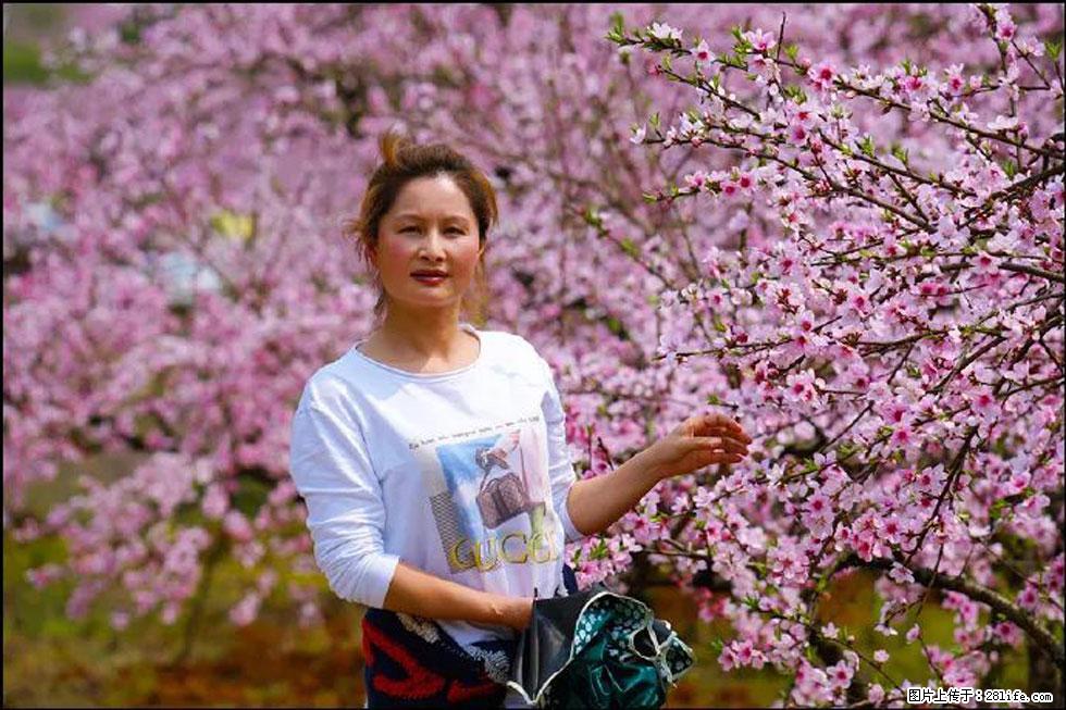 【春天,广西桂林灌阳县向您发出邀请!】官庄村有个醉美的桃花园 - 游山玩水 - 海南生活社区 - 海南28生活网 hainan.28life.com