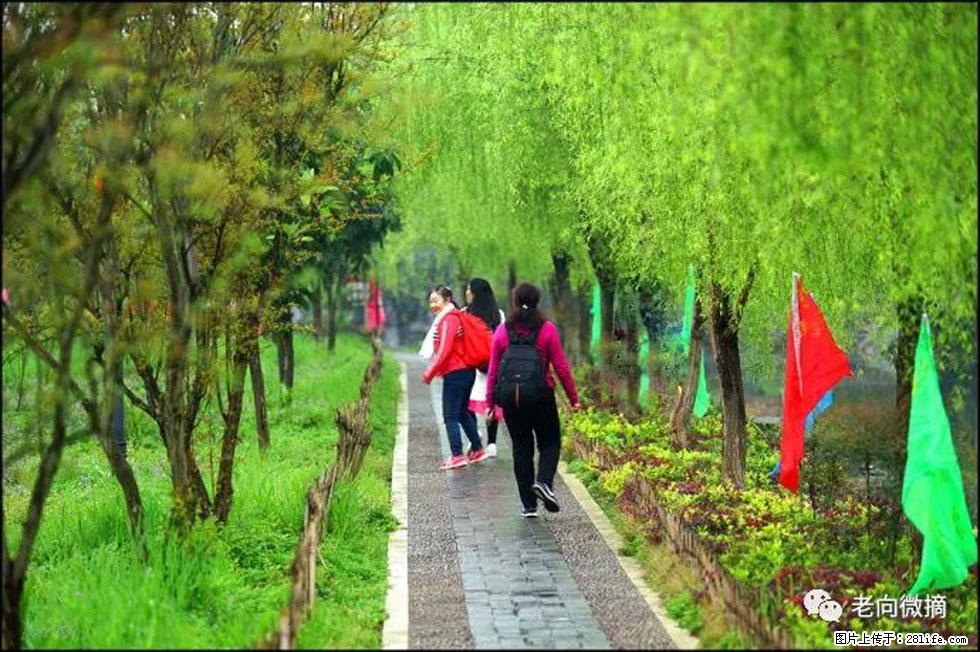 【春天，广西桂林灌阳县向您发出邀请！】江口老街又逢春 - 游山玩水 - 海南生活社区 - 海南28生活网 hainan.28life.com