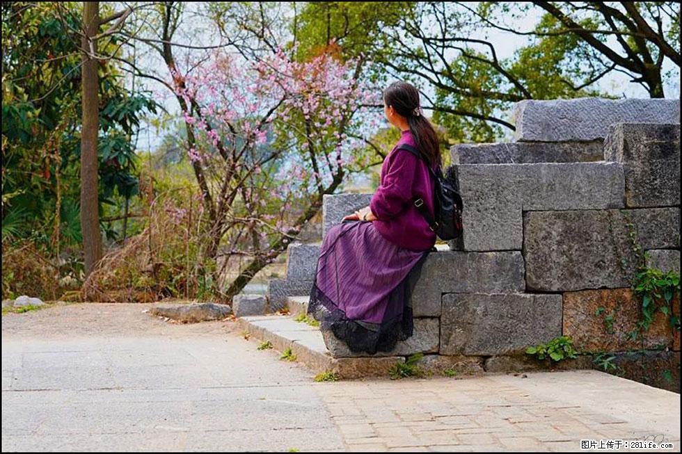 【春天，广西桂林灌阳县向您发出邀请！】江口老街又逢春 - 游山玩水 - 海南生活社区 - 海南28生活网 hainan.28life.com