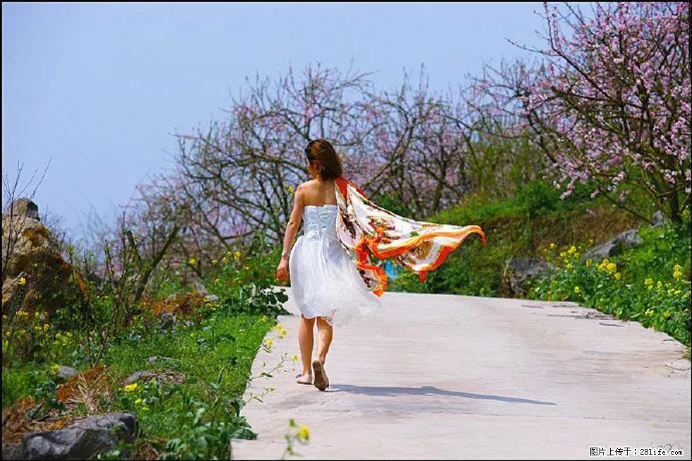 【春天,广西桂林灌阳县向您发出邀请!】望月岭上桃花开 - 游山玩水 - 海南生活社区 - 海南28生活网 hainan.28life.com