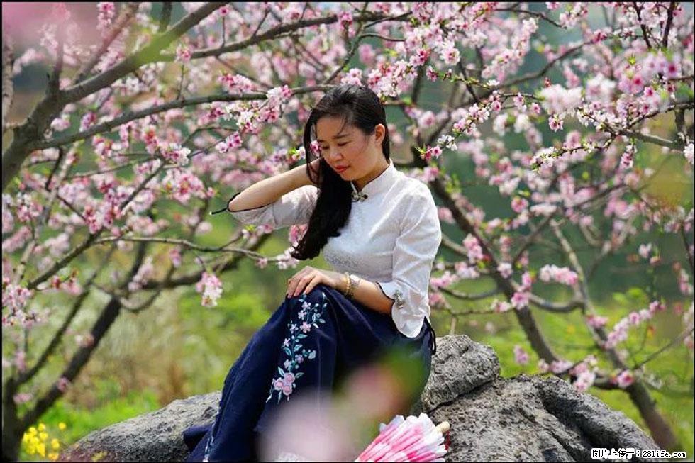 【春天,广西桂林灌阳县向您发出邀请!】望月岭上桃花开 - 游山玩水 - 海南生活社区 - 海南28生活网 hainan.28life.com