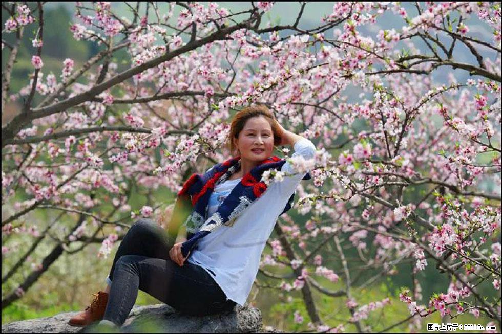 【春天,广西桂林灌阳县向您发出邀请!】望月岭上桃花开 - 游山玩水 - 海南生活社区 - 海南28生活网 hainan.28life.com
