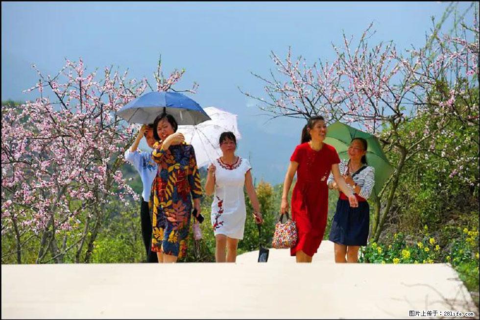 【春天,广西桂林灌阳县向您发出邀请!】望月岭上桃花开 - 游山玩水 - 海南生活社区 - 海南28生活网 hainan.28life.com