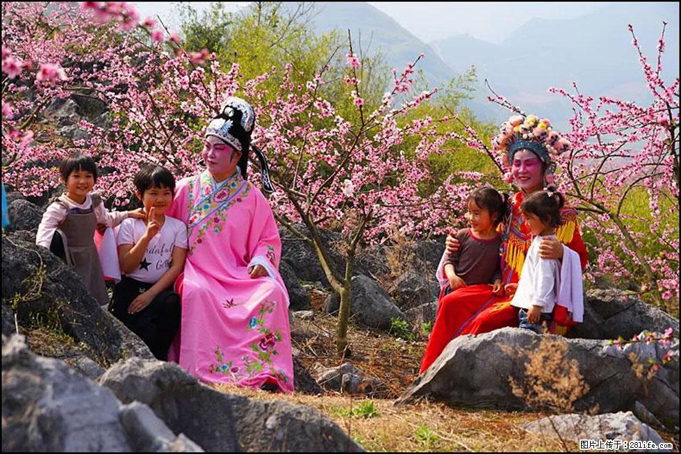 【春天,广西桂林灌阳县向您发出邀请!】望月岭上桃花开 - 游山玩水 - 海南生活社区 - 海南28生活网 hainan.28life.com