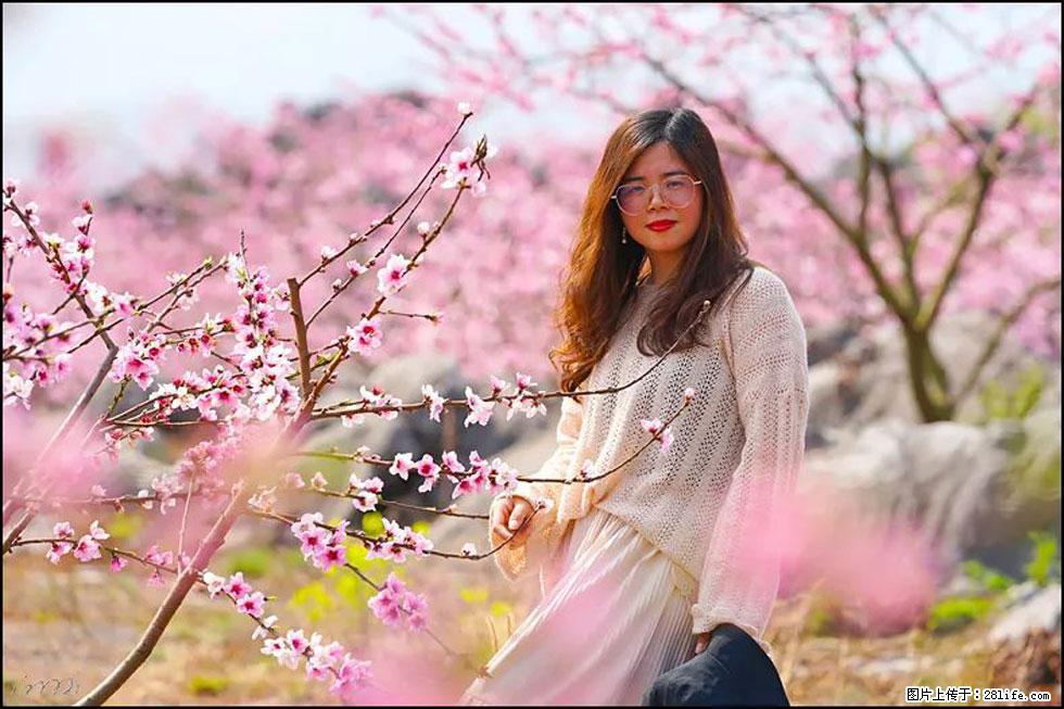 【春天,广西桂林灌阳县向您发出邀请!】望月岭上桃花开 - 游山玩水 - 海南生活社区 - 海南28生活网 hainan.28life.com