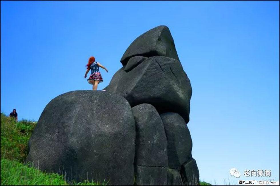 【春天，广西桂林灌阳县向您发出邀请！】宝盖山上映山红 - 游山玩水 - 海南生活社区 - 海南28生活网 hainan.28life.com