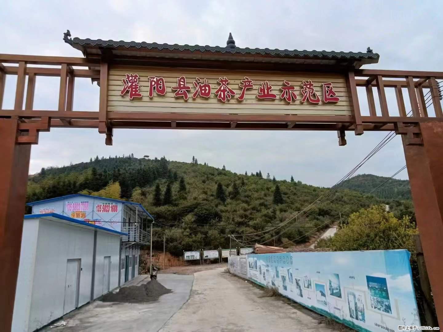 【灌阳县油茶产业示范区】一个有着充实的精神生活的人，对待身外之物自会有一种淡泊的态度 - 美食天地 - 海南生活社区 - 海南28生活网 hainan.28life.com