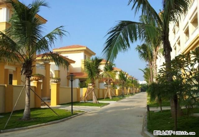 鑫桥南海雨林 2室2厅 86平米 豪华装修 半年付不押 - 房屋出租 - 房屋租售 - 海南分类信息 - 海南28生活网 hainan.28life.com