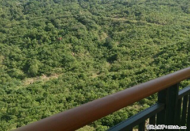 龙栖湾 1室1厅1卫 - 房屋出租 - 房屋租售 - 海南分类信息 - 海南28生活网 hainan.28life.com