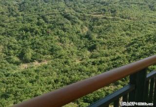 龙栖湾 1室1厅1卫 - 海南28生活网 hainan.28life.com