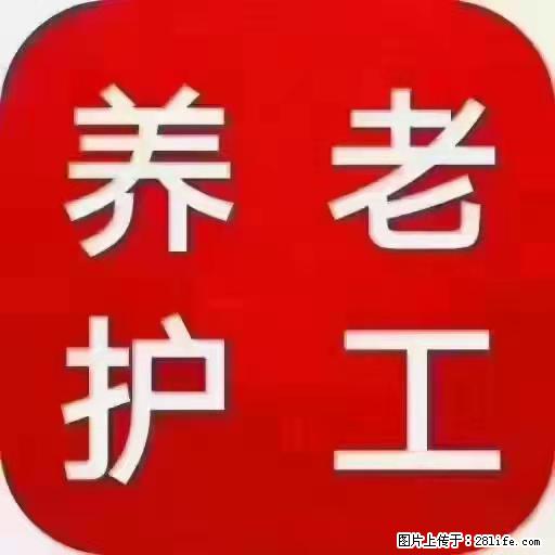 上海国企养老院，星级酒店环境，招聘养老护工 - 职场交流 - 海南生活社区 - 海南28生活网 hainan.28life.com