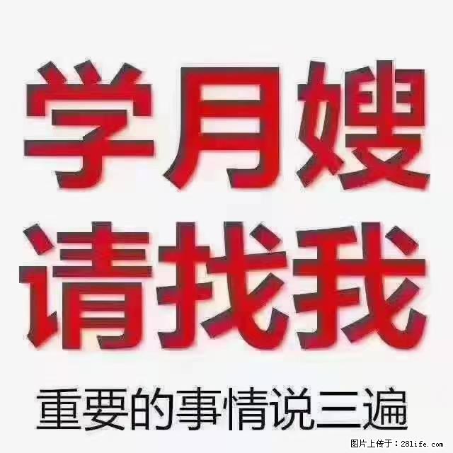 【招聘】月嫂，上海徐汇区 - 职场交流 - 海南生活社区 - 海南28生活网 hainan.28life.com