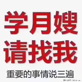 【招聘】月嫂，上海徐汇区 - 海南28生活网 hainan.28life.com