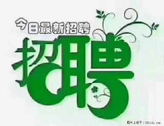 上海青浦区招仓管 - 海南28生活网 hainan.28life.com
