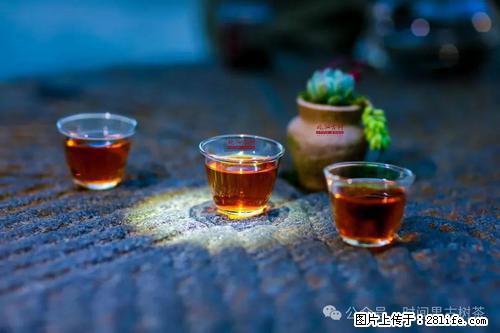 时间果百年古树2025年春红茶 - 购物交流 - 海南生活社区 - 海南28生活网 hainan.28life.com