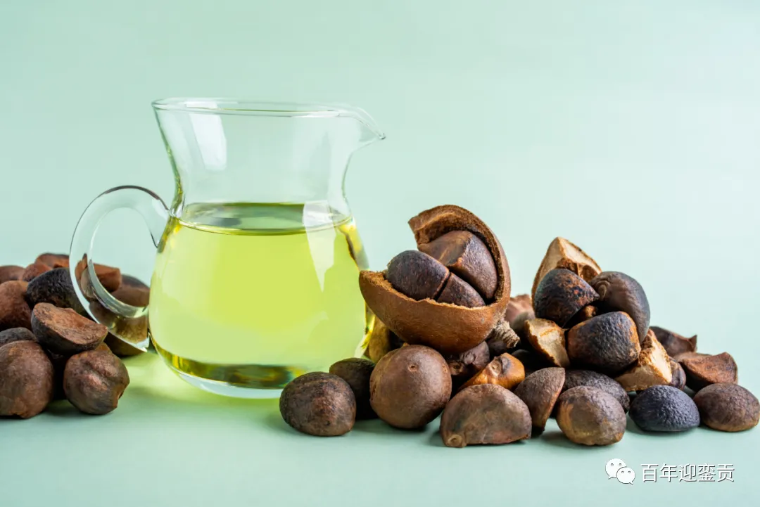 世界没有真相,只有认知,最好的食用油是中国的山茶油! - 海南生活资讯 - 海南28生活网 hainan.28life.com