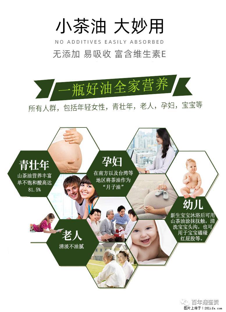 世界没有真相,只有认知,最好的食用油是中国的山茶油! - 海南生活资讯 - 海南28生活网 hainan.28life.com