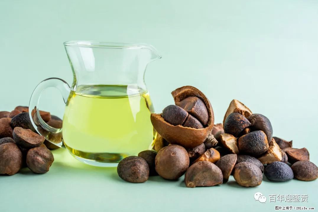 世界没有真相,只有认知,最好的食用油是中国的山茶油! - 海南生活资讯 - 海南28生活网 hainan.28life.com