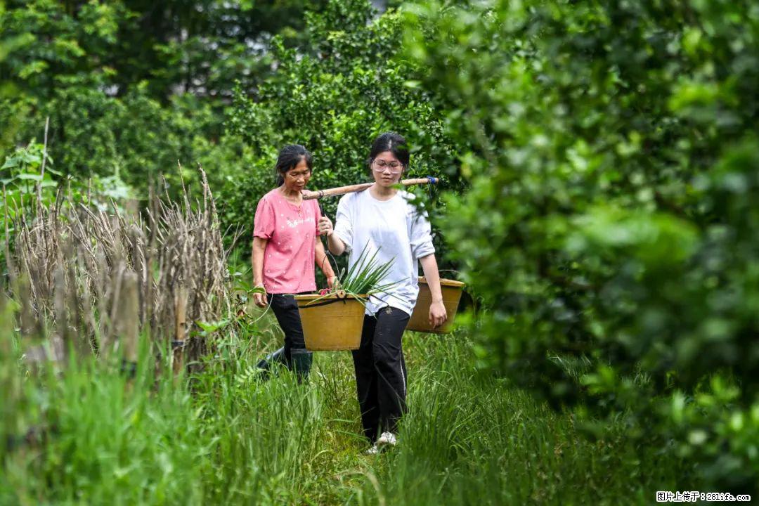 全网追的“扁担女孩”,找了一份暑假工,时薪12元 - 海南生活资讯 - 海南28生活网 hainan.28life.com