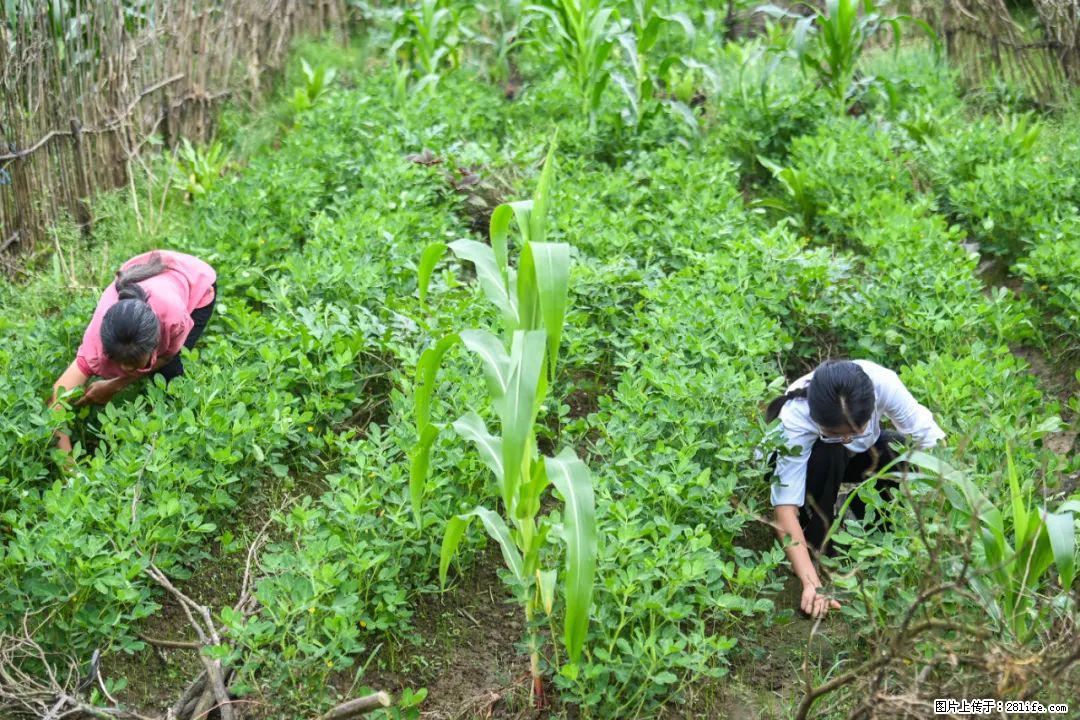 全网追的“扁担女孩”,找了一份暑假工,时薪12元 - 海南生活资讯 - 海南28生活网 hainan.28life.com