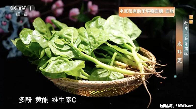 比牛奶补钙还厉害!凉血解毒、稳血糖...这菜冬天必吃,很多人却当草 - 海南生活资讯 - 海南28生活网 hainan.28life.com