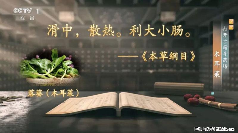 比牛奶补钙还厉害!凉血解毒、稳血糖...这菜冬天必吃,很多人却当草 - 海南生活资讯 - 海南28生活网 hainan.28life.com