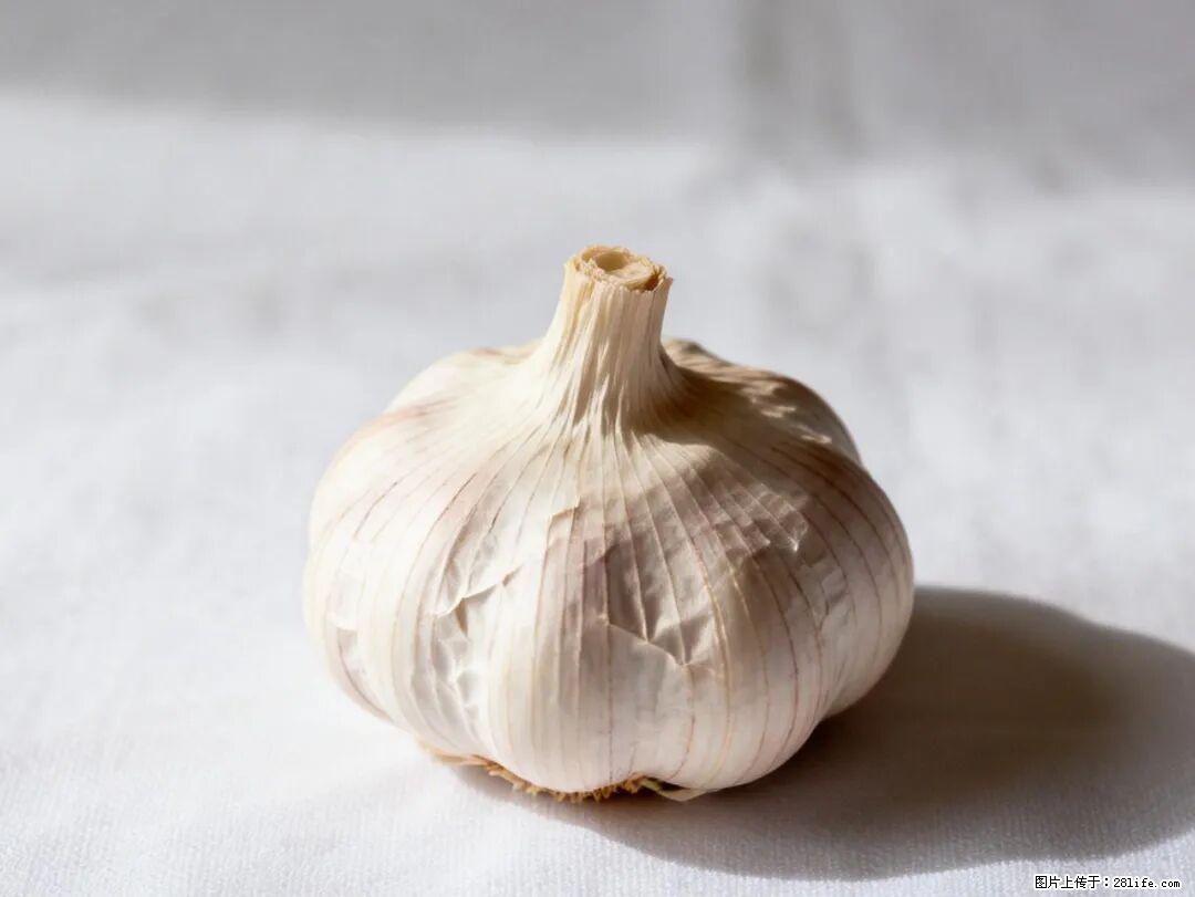 关于大蒜，除了“天然抗生素”，这4个谣言更该警惕! - 海南生活资讯 - 海南28生活网 hainan.28life.com