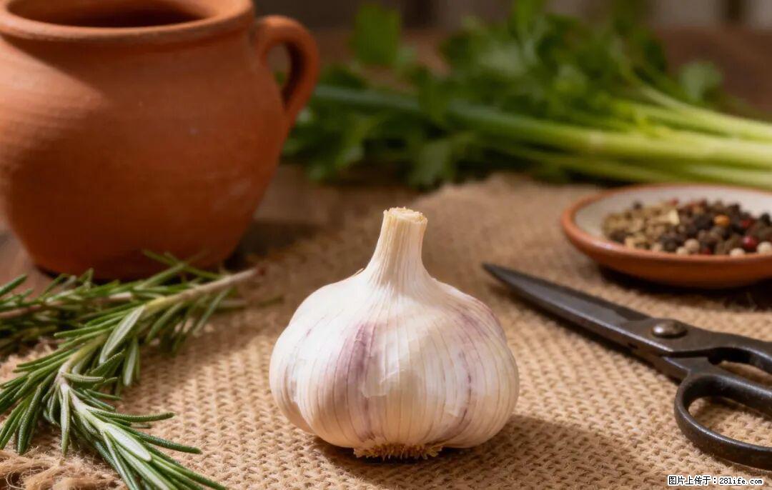 关于大蒜，除了“天然抗生素”，这4个谣言更该警惕! - 海南生活资讯 - 海南28生活网 hainan.28life.com