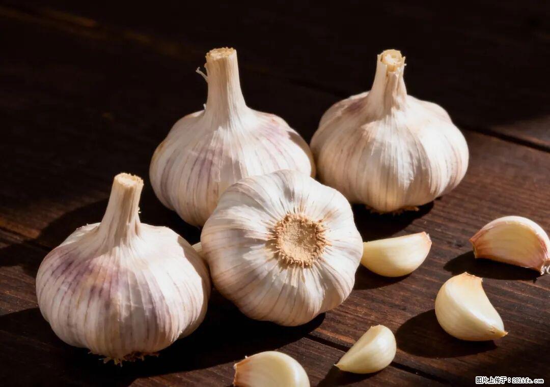 关于大蒜，除了“天然抗生素”，这4个谣言更该警惕! - 海南生活资讯 - 海南28生活网 hainan.28life.com