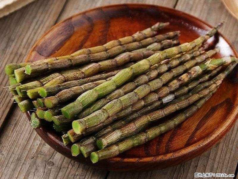铁皮石斛的作用与功能主治 - 海南生活资讯 - 海南28生活网 hainan.28life.com