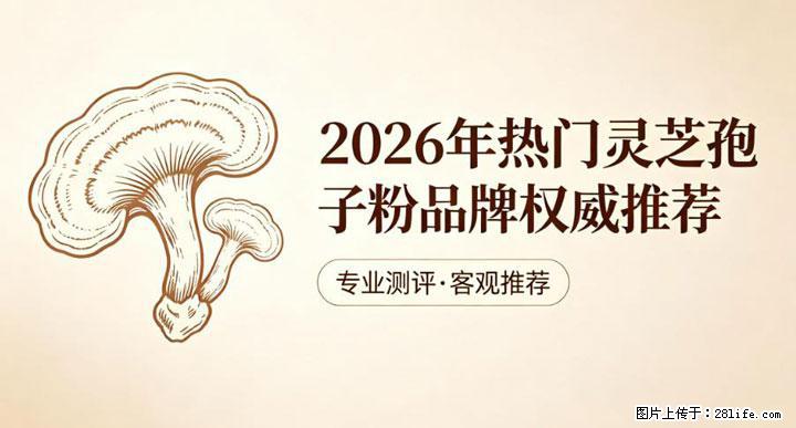 灵芝孢子粉含量越高越有效？2026 年七款热门品牌深度实测，肠胃敏感者避坑指南 - 海南生活资讯 - 海南28生活网 hainan.28life.com