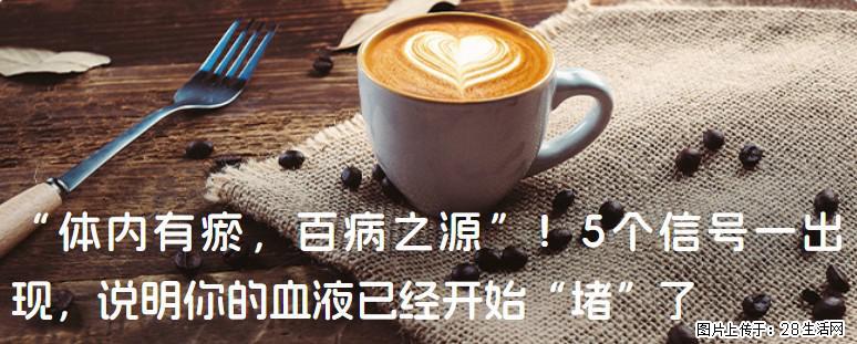 “体内有瘀，百病之源”！5个信号一出现，说明你的血液已经开始“堵”了 - 海南生活资讯 - 海南28生活网 hainan.28life.com